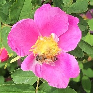 Meet your Posher, Colleen